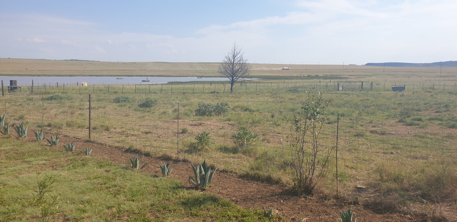  Bedroom Property for Sale in Dewetsdorp Rural Free State